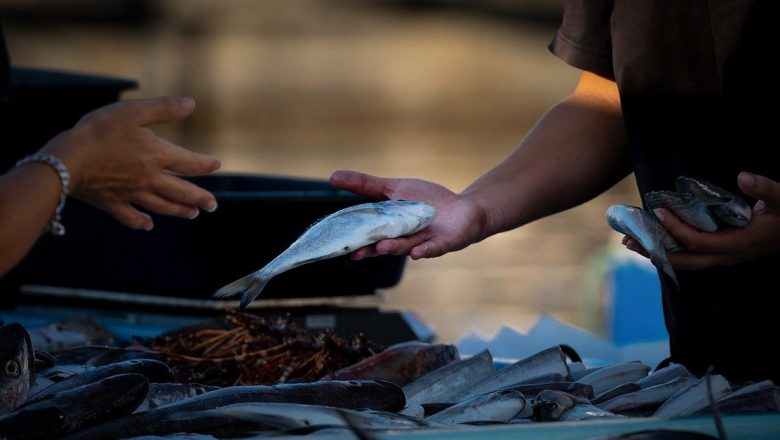 Macroul: Peștele Recomandat de OMS pentru o Alimentație Sănătoasă