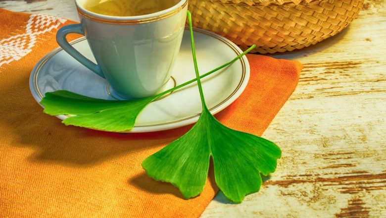Ginkgo Biloba: O Plantă Antică cu Beneficii Moderne pentru Memorie și Circulație Cerebrală