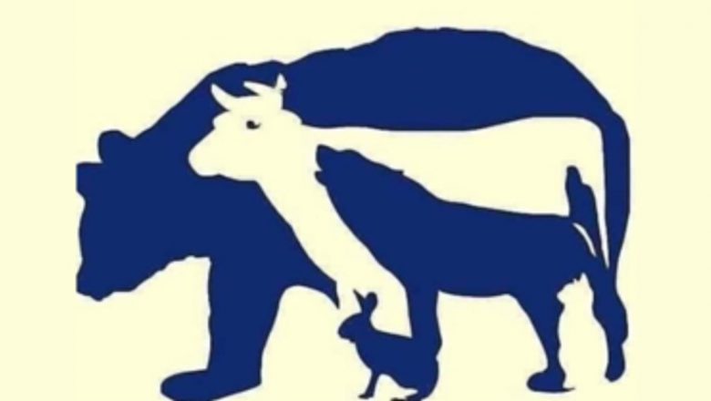 Provocarea iluziei optice: Cum brain teasers ne antrenează mintea și ne îmbunătățesc abilitățile cognitive