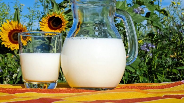 Renunțarea la Produsele Lactate cu Conținut Scăzut de Grăsimi: O Privire Asupra Sănătății și Nutriției
