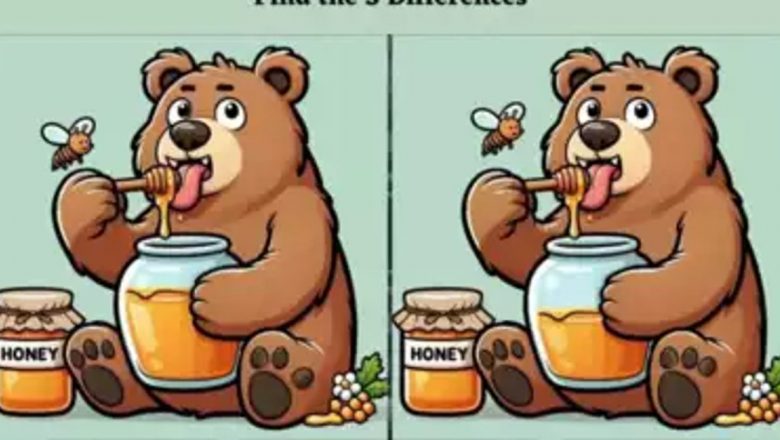 Descoperă beneficiile jocurilor de observație: Cum exercițiile de recunoaștere a diferențelor pot îmbunătăți sănătatea mintală