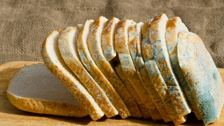Riscurile Ascunse ale Consumului de Pâine Mucegăită: Cum Micotoxinele Pot Afecta Sănătatea Umană