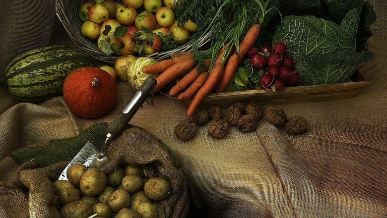 Cimbrul: Planta Miraculoasă cu Proprietăți Antibiotice și Beneficii pentru Sănătate