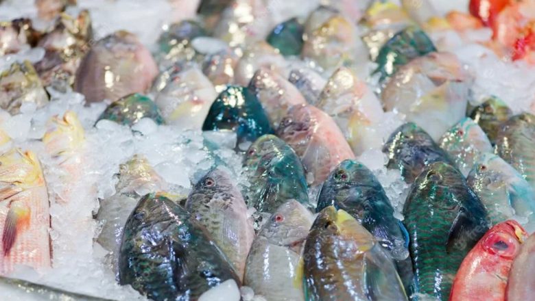 Lufărul din Marea Neagră: Deliciul ascuns care îmbunătățește sănătatea inimii