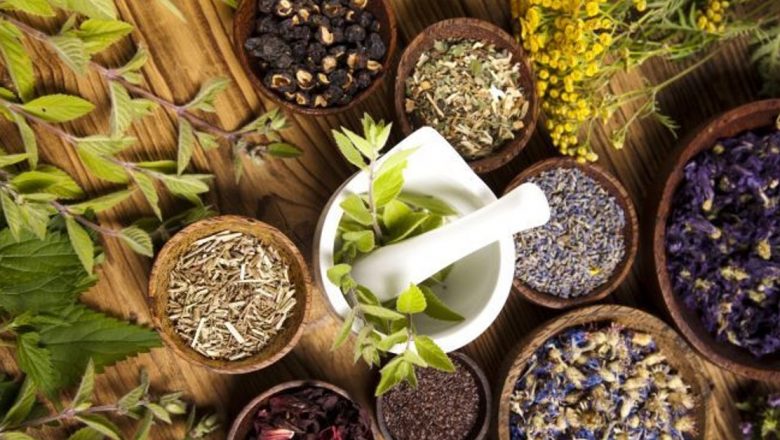 Păpădia: Planta medicinală cu beneficii remarcabile pentru sănătate și ficat