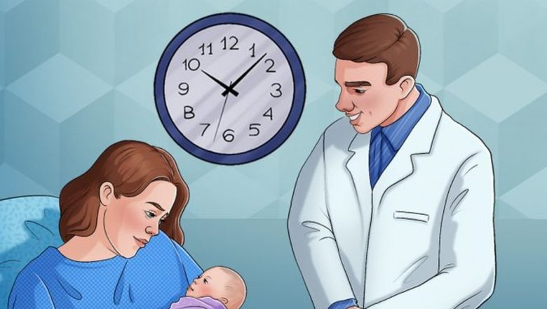 Provocarea observației: Test de inteligență și impactul jocurilor mentale asupra abilităților cognitive