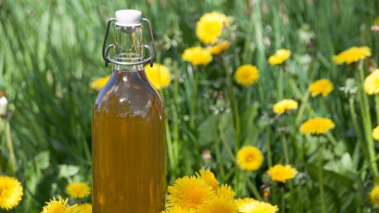 Siropul de păpădie: un elixir pentru ficat și digestie din natura noastră
