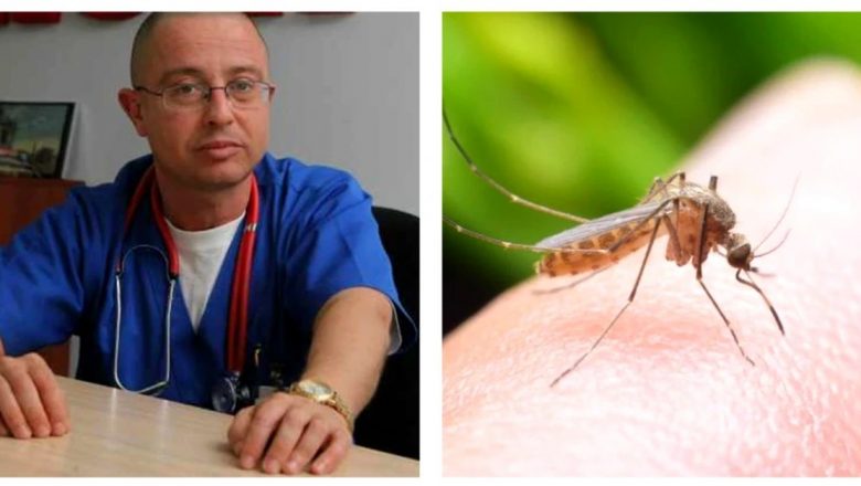 Virusul West Nile: Semne de alarmă, transmitere și măsuri de prevenire