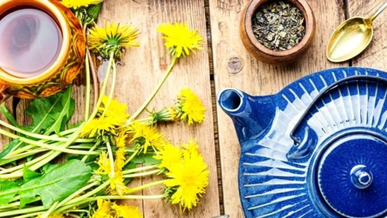 Plantele Amare: Aliate în Detoxifierea și Regenerarea Ficatului