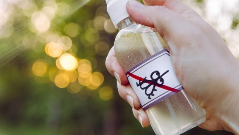 Soluții Naturale Eficiente Împotriva Ţânţarilor: Cum să Îţi Protejezi Spaţiul cu Ingrediente Uşor Accesibile
