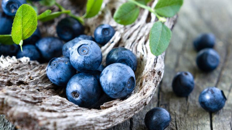 Alimentele care îmbunătățesc memoria și concentrarea: O abordare nutrițională pentru sănătatea creierului
