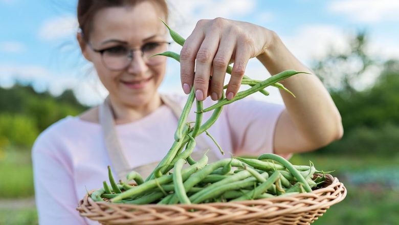 Fasolea Verde: Superalimentul Care Îmbunătățește Sănătatea Oamenilor de Toate Vârstele