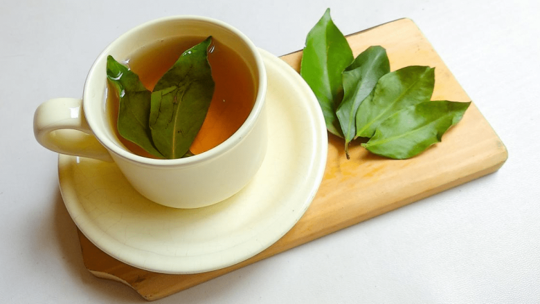 Ceaiul de dafin: Un remediu natural cu multiple beneficii pentru sănătate