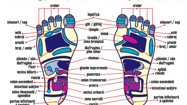 Reflexoterapia Tălpii: O Abordare Holistică pentru Sănătate