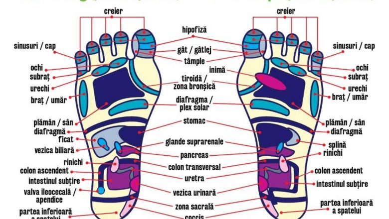 Reflexoterapia tălpii: O călătorie în universul sănătății prin stimularea zonelor reflexe