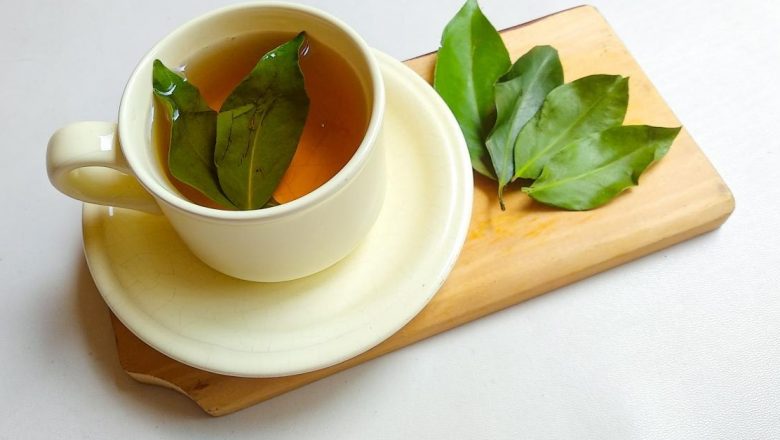 Descoperirea fascinantă a ceaiului de dafin: Beneficii și utilizări terapeutice