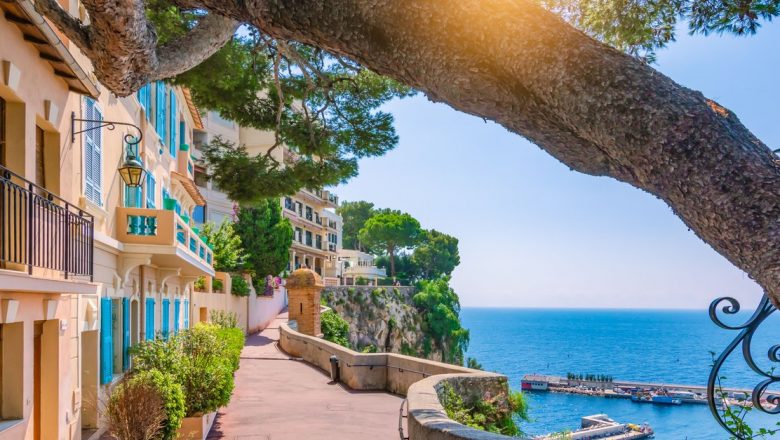 Secretele longevității în Monaco: Ceaiurile care contribuie la o viață sănătoasă