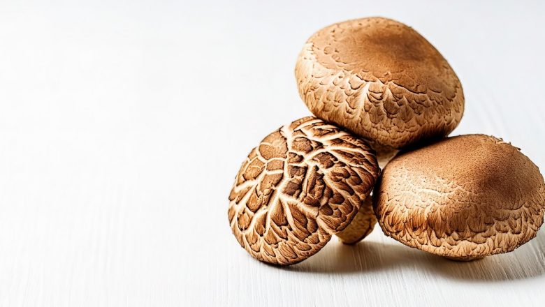 Ciupercile: Superalimentele din natură care ne pot transforma sănătatea