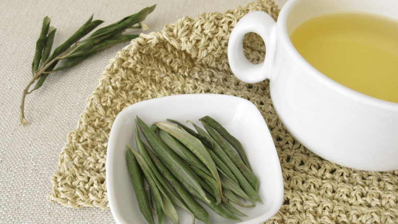 Frunzele de Măslin: Un Remediu Natural pentru Diabet, Hipertensiune și Obezitate