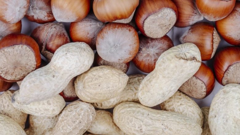 Alunele de Pădure: Un Ingredient Versatil și Sănătos pentru Rețetele Tale