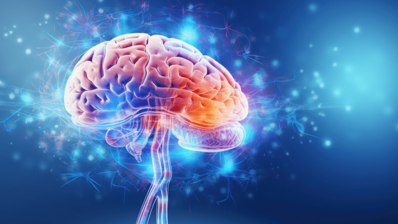 Încetinirea Îmbătrânirii Creierului: Strategii și Implicații pentru Sănătatea Cognitivă