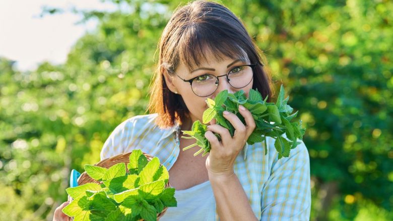 Băutura cu mentă și lămâie: Secretul energiei și detoxifierii în zilele călduroase
