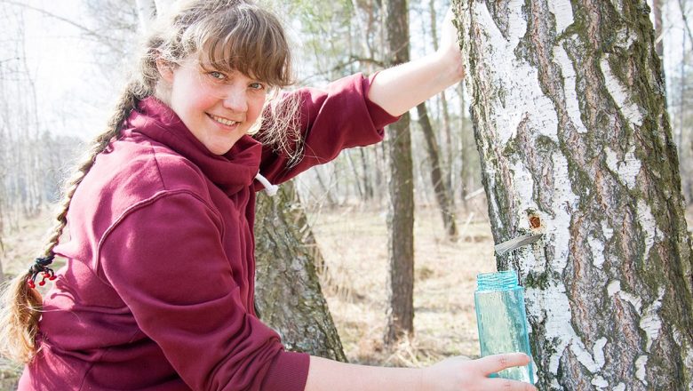 Seva de Mesteacăn: O Comoară Naturală pentru Sănătate și Frumusețe în Sezonul Primăverii