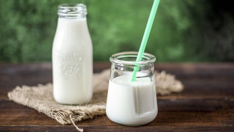 Chefiri: Probioticul Natural Care Transformă Sănătatea Digestivă și Imunitatea