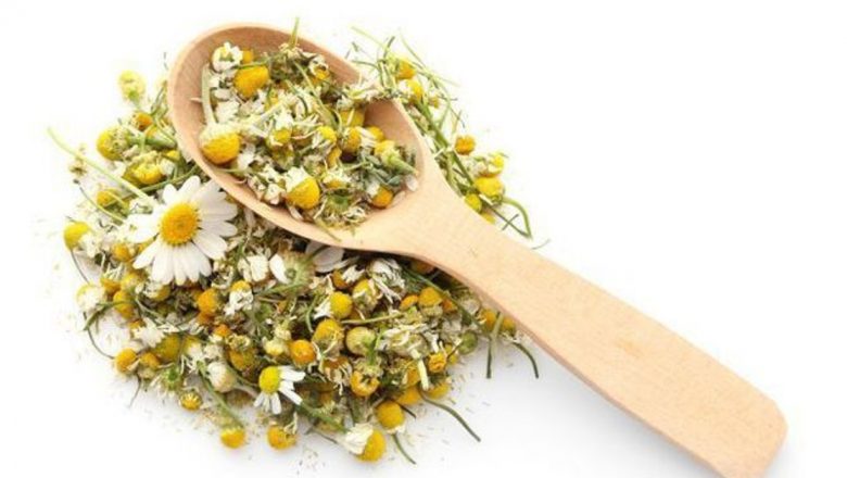 Puterea plantelor: 6 remedii naturale care pot îmbunătăți sănătatea fără medicamente chimice