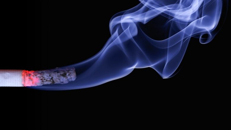 Podbalul: Planta Medicinală Care Te Poate Ajuta Să Renunți La Fumat și Să Îți Cureți Plămânii