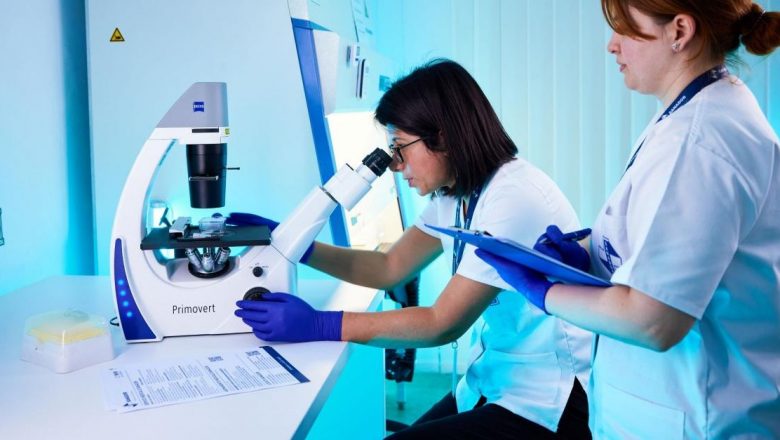 Importanța Testelor Genetice Prenatale: Ghid Complet pentru Viitorii Părinți