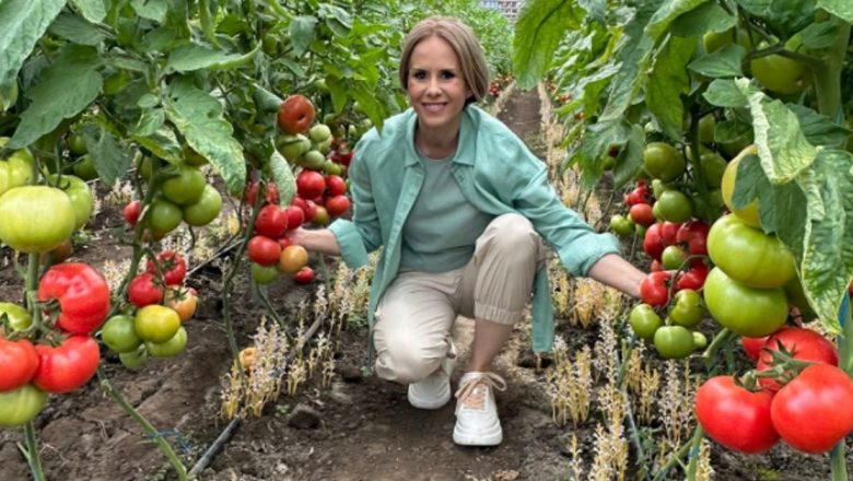 Roșiile Românești: Leguma-vedetă a Verii și Recomandările Mihaelei Bilic pentru o Alimentație Sănătoasă