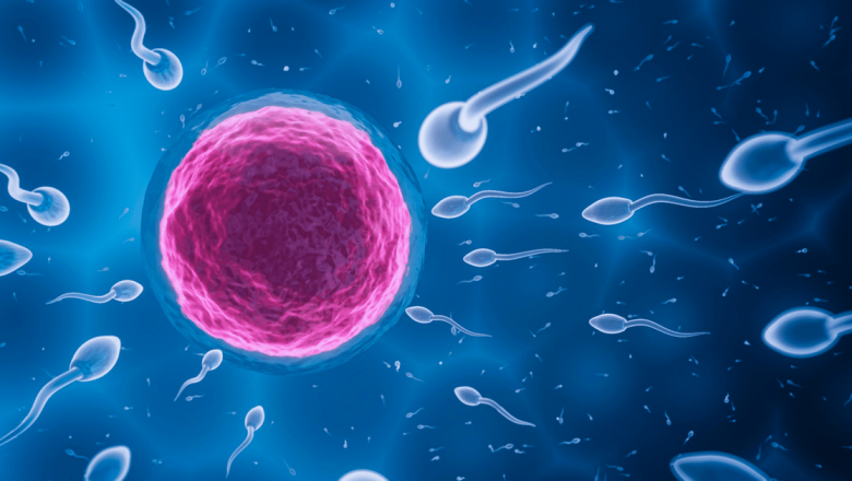 FIV și ICSI: O privire detaliată asupra tehnologiilor de reproducere asistată care transformă viețile cuplurilor infertile