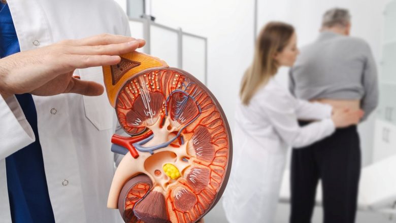 Alimentele esențiale pentru sănătatea rinichilor: Cum să îmbunătățești funcția renală prin dietă