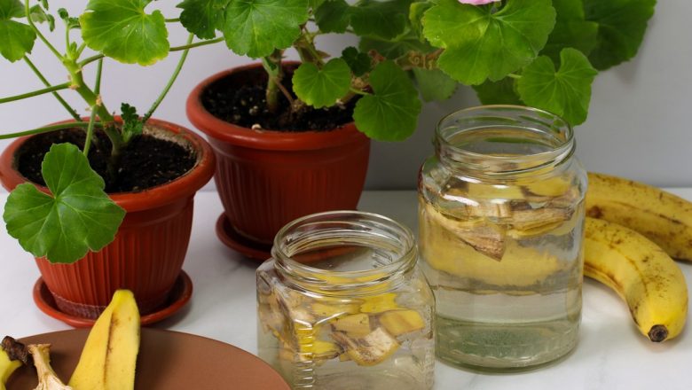 Cojile de banană: un fertilizator natural pentru grădinile moderne