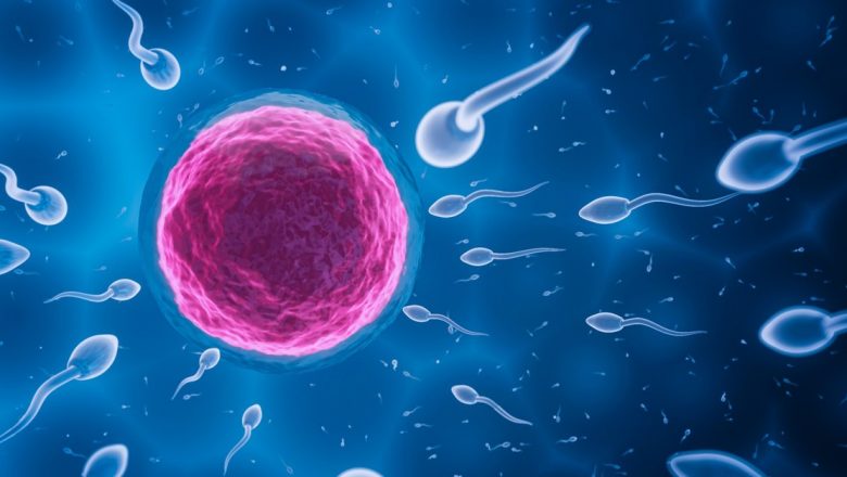 FIV și ICSI: Revoluția Tehnologiilor de Reproducere Asistată în Combaterea Infertilitații