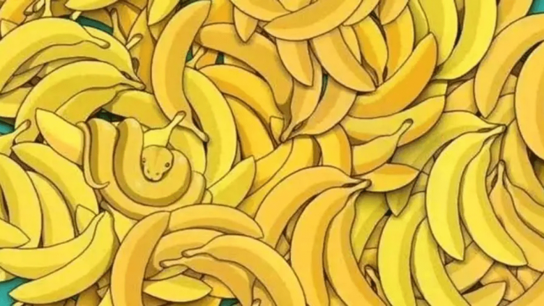 Provocările vizuale: Cum ne stimulează creierul jocurile cu animale ascunse printre banane
