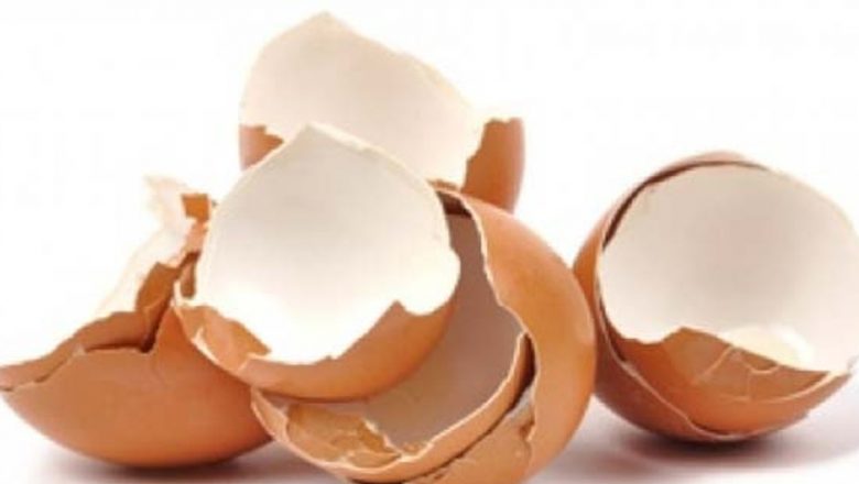 Cojile de Ceapă, Nucă și Ouă: Remedii Naturale din Vechi Tradiții și Știință Modernă