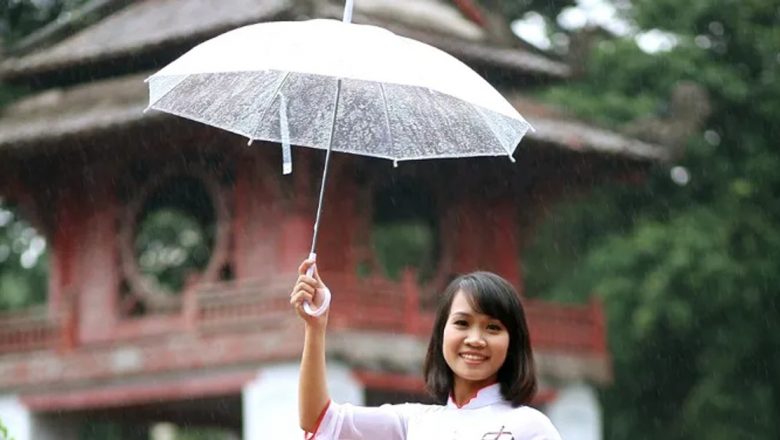 Descoperirea Secretelor Longevitații: Lecții de Viață din Cultura Japoneză
