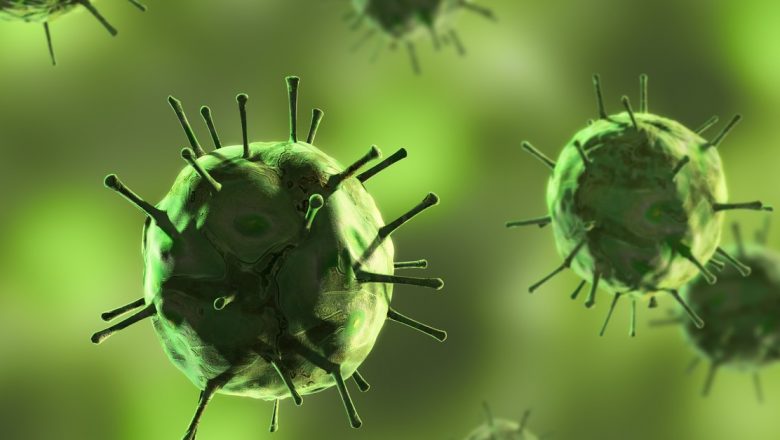 Amenințarea virusurilor de valiză: Impactul infecțiilor tropicale asupra sănătății publice în Europa