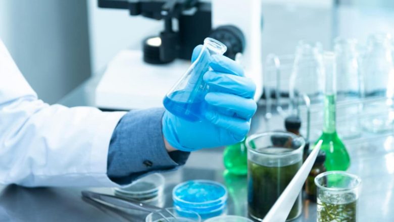 Impactul Semaglutidei asupra Riscurilor Cardiovasculare: O Analiză Detaliată a Studiului STEER