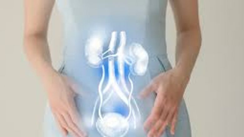 Strategii Naturiste Eficiente pentru Combaterea Infecțiilor Urinare Repetate