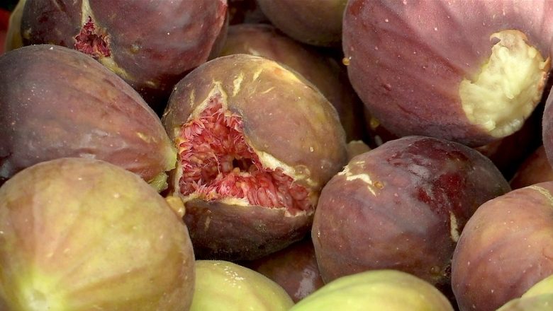Ceaiul din frunze de smochin: O privire detaliată asupra beneficiilor antioxidante, antiinflamatorii și hepatoprotectoare