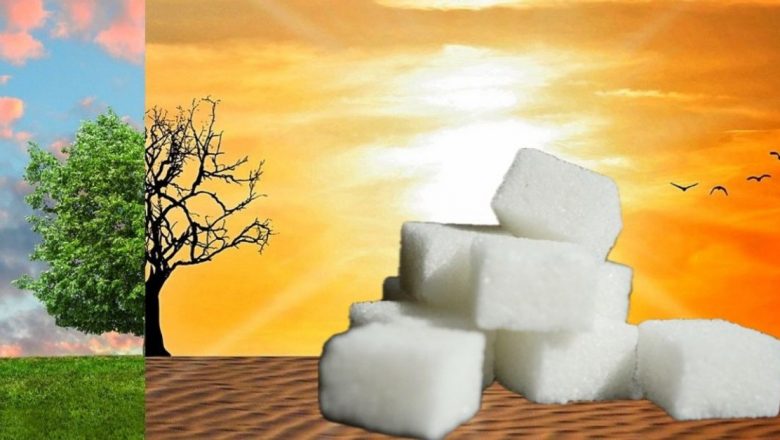 Conexiunea surprinzătoare dintre încălzirea globală și consumul de zahăr: Implicații pentru sănătatea publică