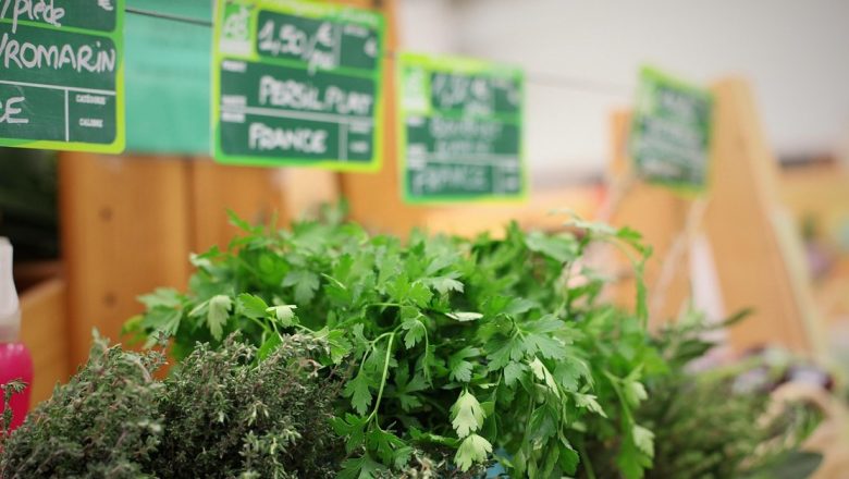 Beneficiile pătrunjelului: Planta-minune recomandată de Mihaela Bilic pentru o alimentație sănătoasă