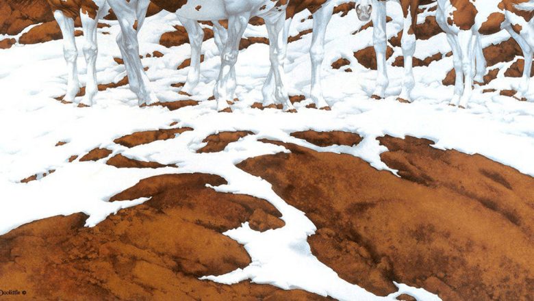 Iluzia Caiilor Pinto: O Analiză a Picturii lui Bev Doolittle și Impactul Său Asupra Percepției Umane