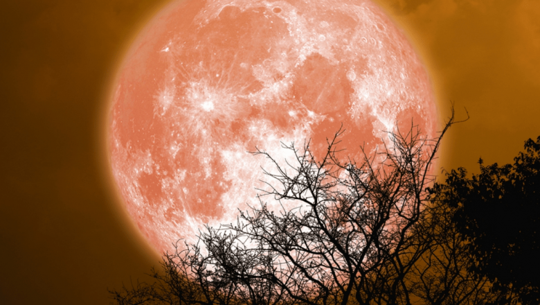 Luna Plină în 2026: Fenomenul Cosmic și Impactul Asupra Vieții Noastre