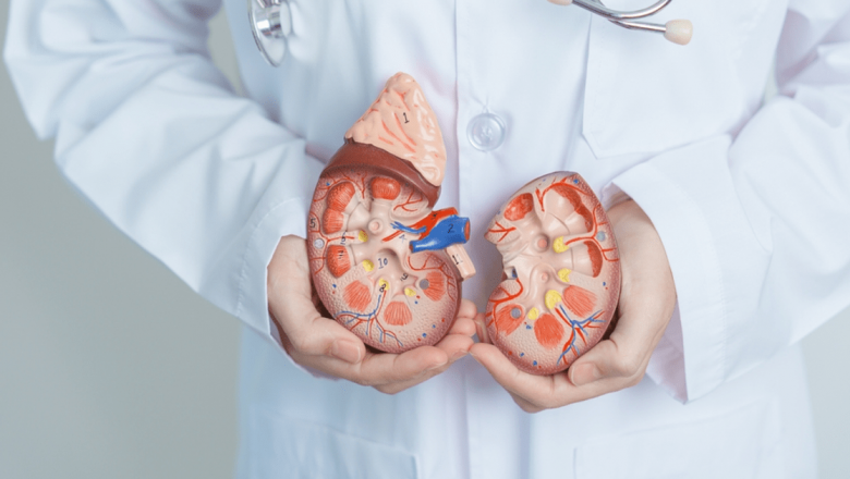 Diferențele esențiale între urologie și nefrologie: O privire detaliată asupra specialităților medicale