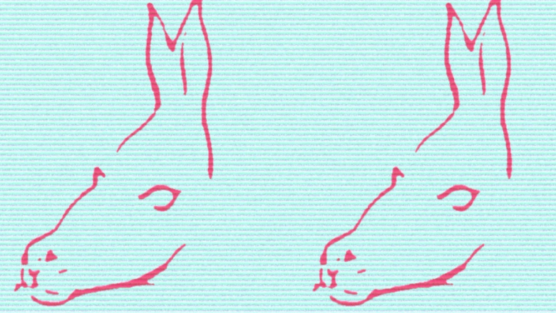 Descoperiri fascinante despre personalitate: Ce spune prima ta impresie despre tine?