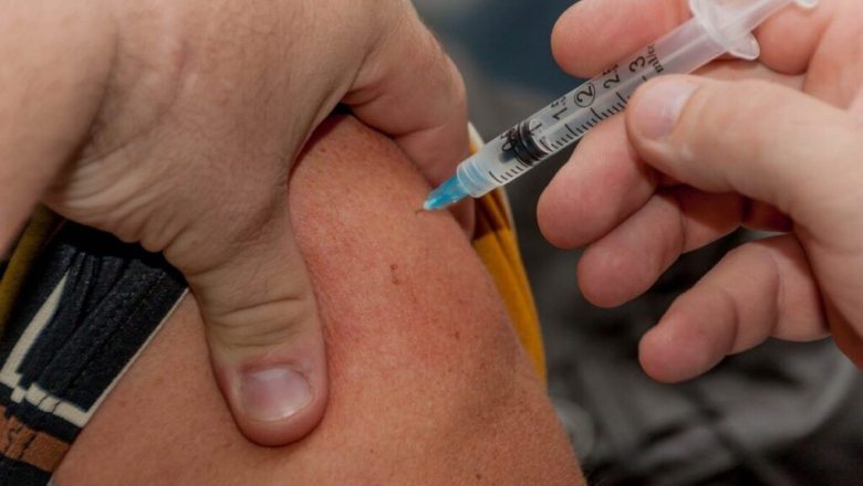 Hantavirusul: Îngrijorări globale și perspective asupra vaccinării
